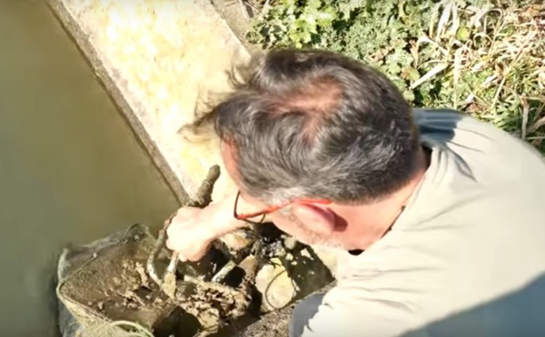 Montpellier: Il pêche un coffre-fort rempli de pièces et de bijoux et le ramène au commissariat