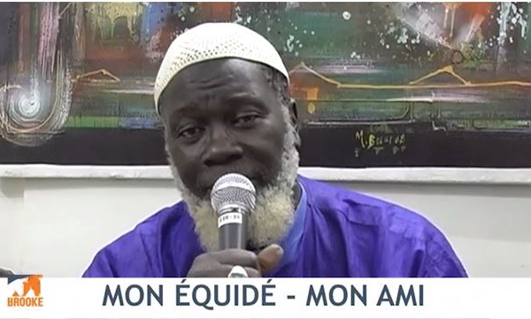 VIDEO - Imam Sylla: "Ce que dit le Coran sur le traitement des animaux domestiques"