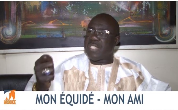 VIDEO - Khadim Samb dénonce les actes de maltraitance sur les chevaux et les ânes