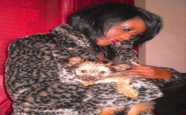 Photo : La sénégalaise Gabrielle Goudiaby et sa chienne chihuahua, affaire de star