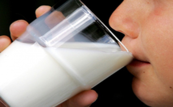Le lait : Un compagnon indispensable d’une alimentation équilibrée !