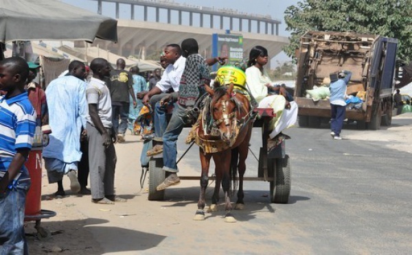SENEGAL : 2012 démarre en charrette (Images de Dakar en calèche)