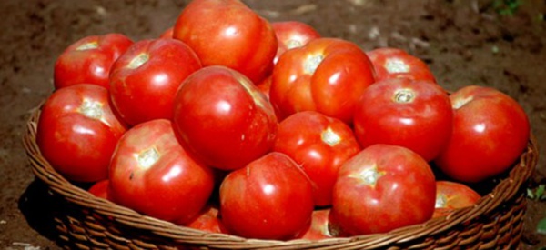 Voici comment conserver certains légumes plus longtemps