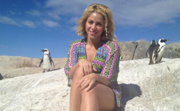 Photos : Shakira : elle s'est fait agresser... par un lion de mer !