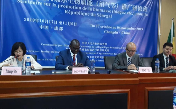 Saër Diop, Directeur Général AEME: «La biomasse demeure une opportunité pour la maîtrise de l’énergie »