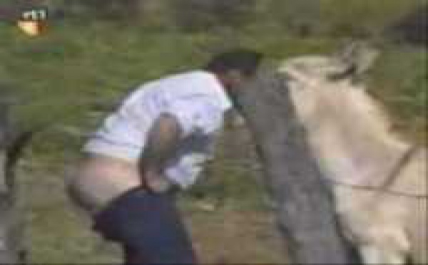 Video humour : 7 mn de fous rires