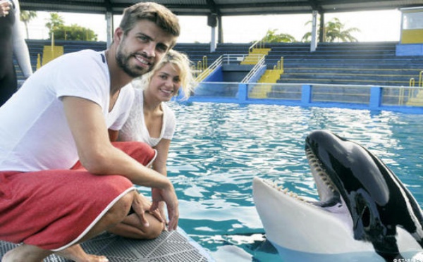 Photos- Shakira et Gerard Piqué adoptent… un orque