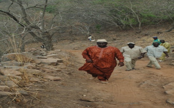 Macky Sall dans la forêt  de Kédougou!