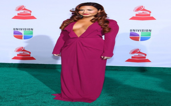 Demi Lovato se fait critiquer par un candidat de X Factor !