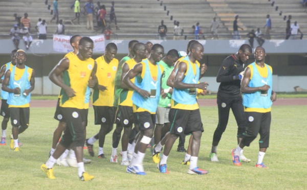 Le galop des Lions de la Téranga en quête de qualification pour la Can 2013
