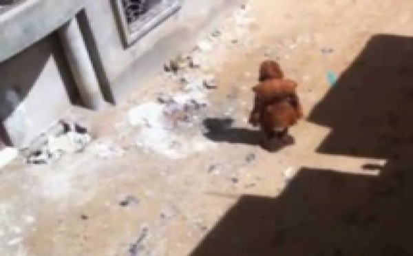 [ VIDEO ] Un kankourang dans un quartier de Dakar