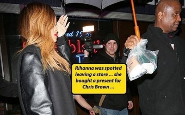 Rihanna nargue Chris Brown avec un sex-toy (photo)