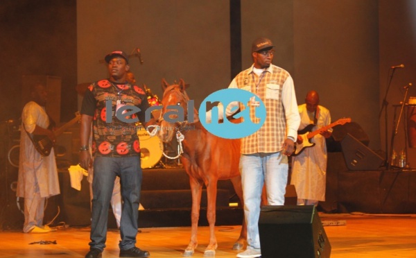 Le cheval offert par Serigne Mbacké Ndiaye à Coumba Gawlo