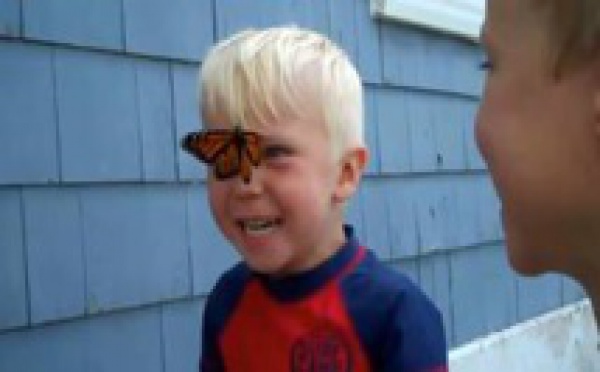 Des enfants libèrent un papillon mais tout ne va pas se passer comme prévu. Regardez cet instant magique  