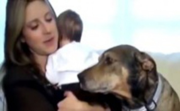 Ce chien a sauvé la vie d'un bébé. Son courage va vous épater