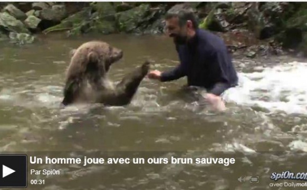 Un homme joue avec un ours sauvage