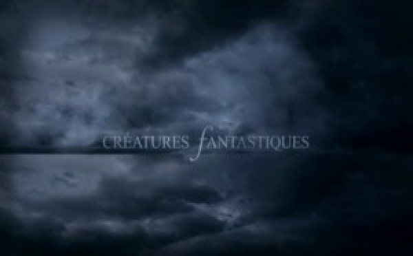 Créatures Fantastiques : Les Ombres De La Forêt E03