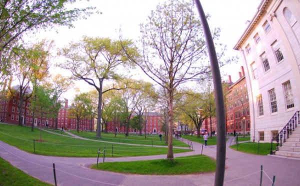 Harvard interdit à ses professeurs de coucher avec leurs étudiants de premier cycle