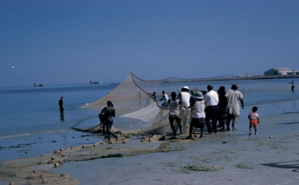 Arrêt sur image : La relève des filets sur la plage de Hann en 1960.