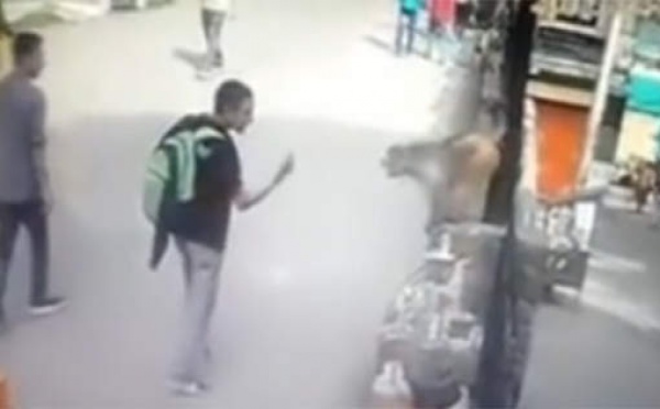 Voilà ce qui arrive quand on fait un doigt d'honneur à un singe