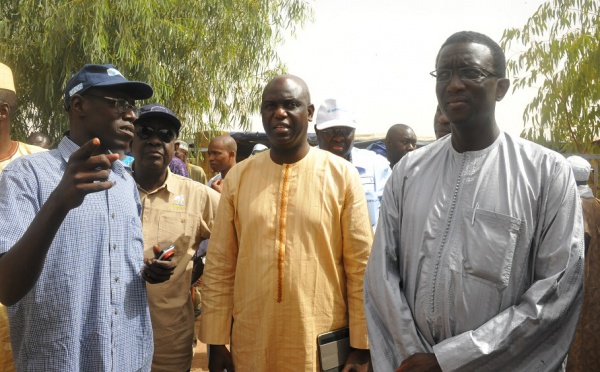 Fouta : Grande mobilisation des Ministres Amadou Ba et Mansour Faye