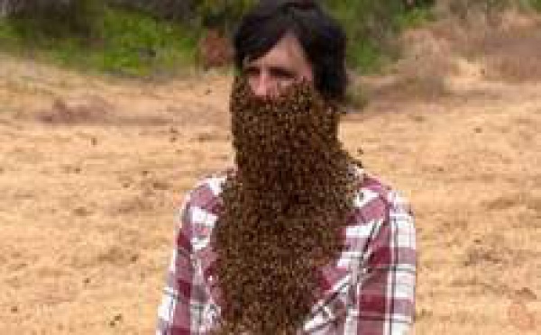 La barbe aux 10.000 abeilles