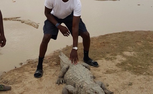 Gorgui Sy Dieng et son crocodile