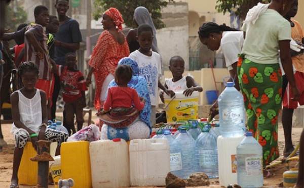 Dagana : sept villages de la commune de Mbane confrontés à une pénurie d’eau