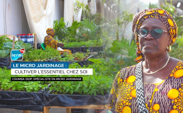 Agriculture/Le micro jardinage : Cultiver l'essentiel chez soi !