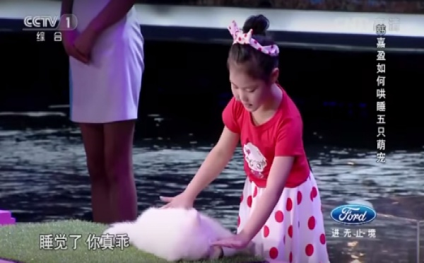 Une enfant de 5 ans hypnotise des animaux à la télévision