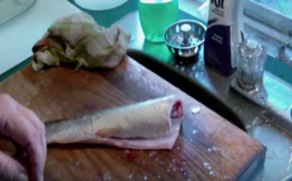 Un poisson mort... bien agité !
