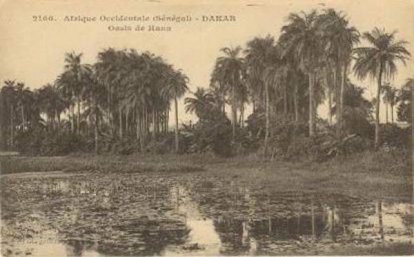 Carte postale : L'oasis de Hann