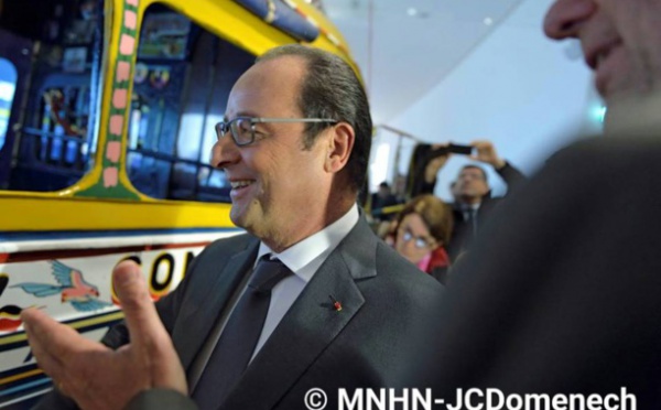 Nouveau Musée de l'Homme de Paris: Hollande émerveillé par le car rapide dakarois