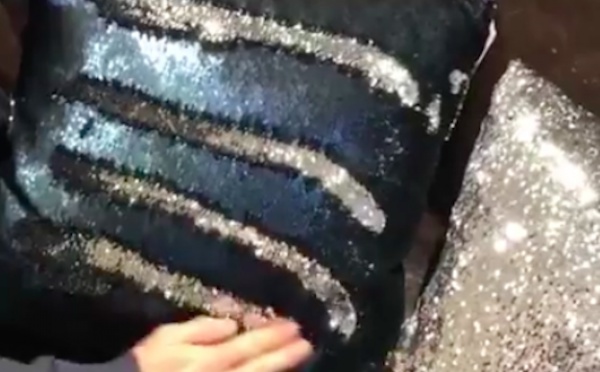 Les gens sont obsédés par ce coussin qui change quand on passe la main dessus
