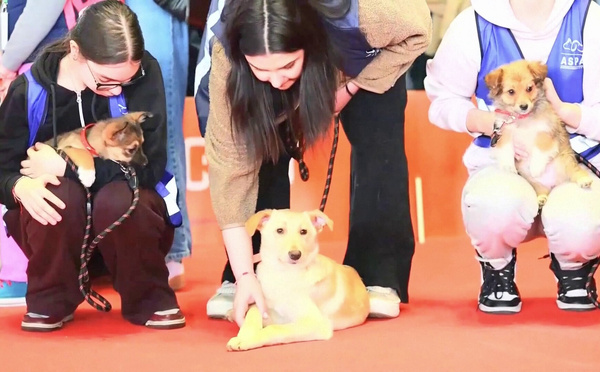 WAXTU CHINE - La quatrième Semaine de la Mode Petjoy à Shanghai