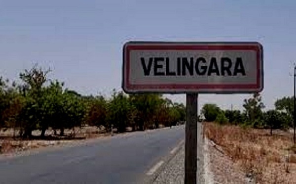 Vélingara I Escroquerie sur le foncier : Un sujet étranger arrêté en possession de 113 faux actes administratifs de parcelles
