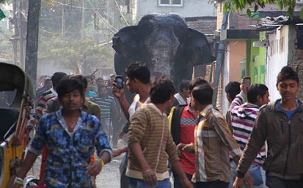 Un éléphant sauvage s’est aventuré dans une petite ville d’Inde et a tout saccagé