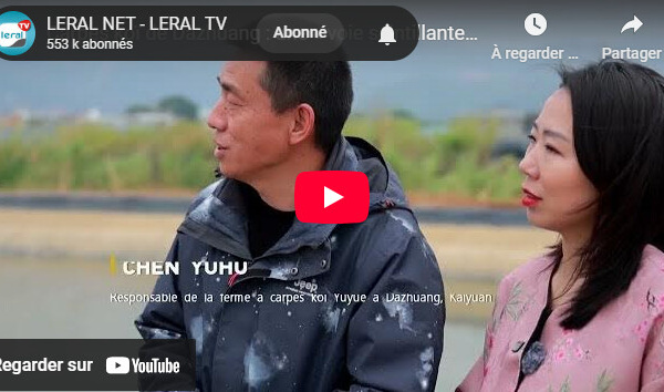 Carpes koï de Dazhuang : Une « voie scintillante » pour la revitalisation rurale