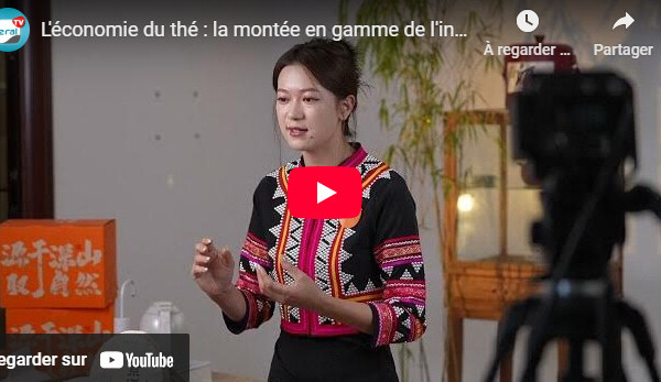 L'économie du thé : La montée en gamme de l'industrie du thé Pu'er