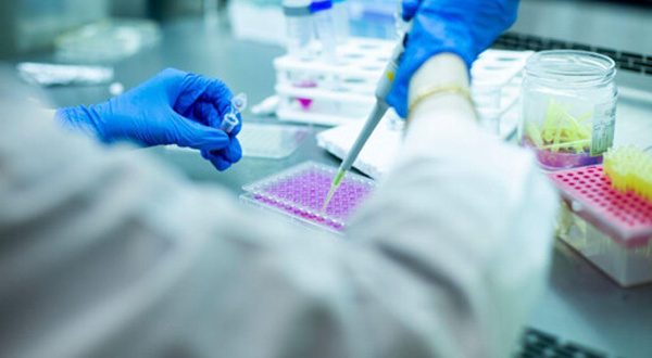 La Chine rattrape l'Occident dans le domaine des biotechnologies