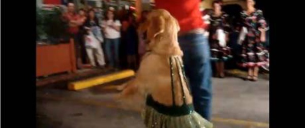 [Video] Ce chien danse mieux que son maître. Regardez !