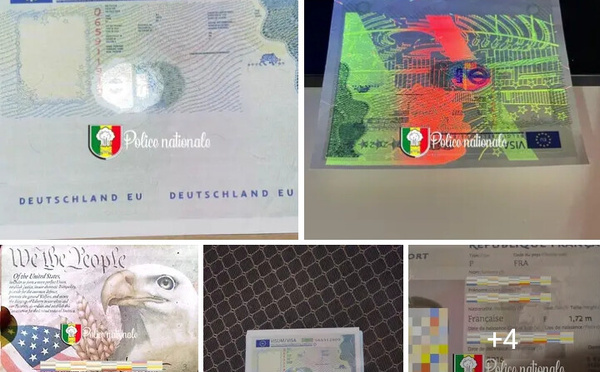 Réseau de faux documents démantelé : Trois personnes arrêtées à Ziguinchor