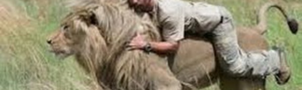 Le Lion Blanc - National Geographic