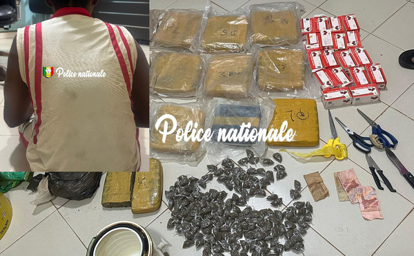 Interpellation pour trafic de drogue et vente illicite de médicaments : Un individu aux arrêts à Kédougou 