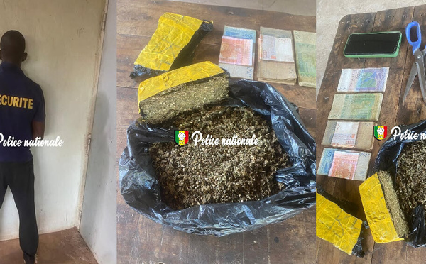 Nouveau coup de filet à Kédougou : Un réseau de drogue démantelé dans le quartier Gada Dinguessou, avec 500 g de chanvre indien