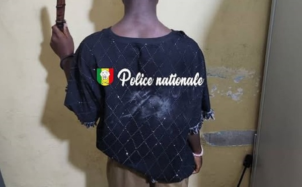 Homicide lors d’une sortie de  « Kankourang » à Kolda : Le suspect arrêté par la Police nationale