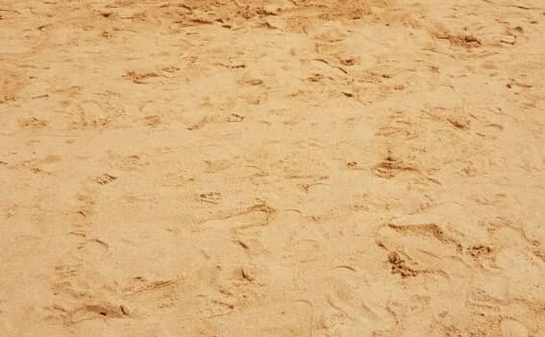 Mboro-sur-mer: Un garçon de 10 ans meurt noyé