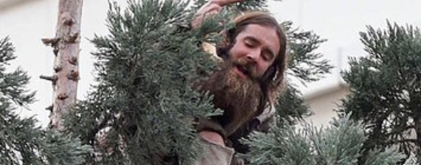 Cet homme a refusé de descendre d’un arbre pendant 24 heures
