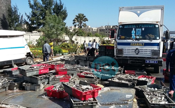 Encore un accident à hauteur de l'école Mariama Niasse (images)
