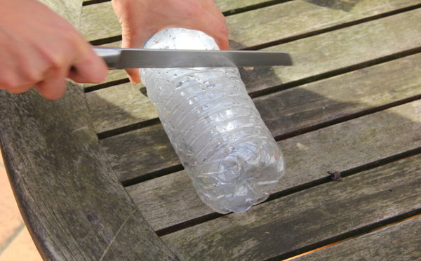 Pour faire pousser des légumes chez vous, il suffit d’une bouteille d’eau!